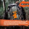 Hunting Backpacks for Men,Internal Frame Hunting Pack with Rifle Holder,40L/80L + Extendable Capacity for Bow Rifle Gun